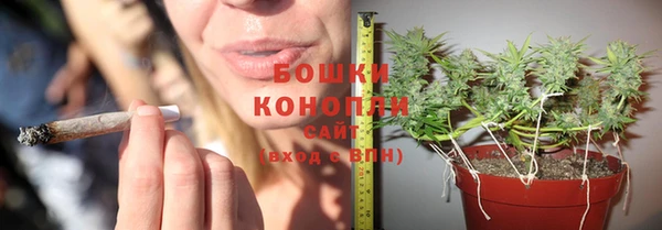 ГАЛЛЮЦИНОГЕННЫЕ ГРИБЫ Алексеевка