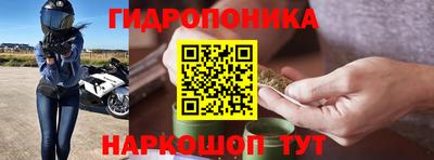 винт Гусь-Хрустальный