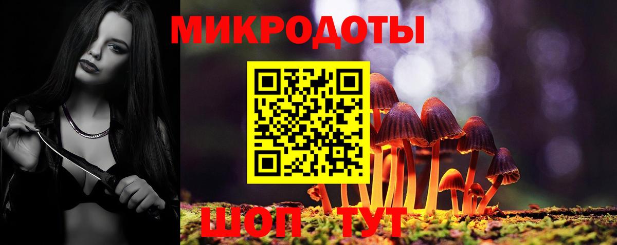 Галлюциногенные грибы Psilocybe  Вход с VPN  Похвистнево  Псилоцибиновые грибы прущие грибы 