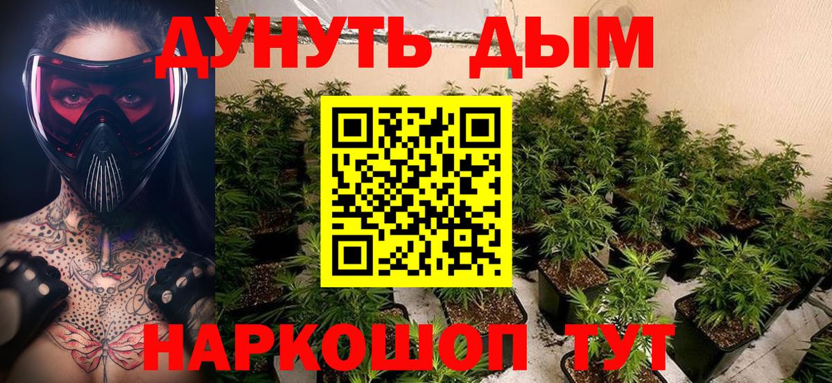 Бошки Шишки White Widow Похвистнево